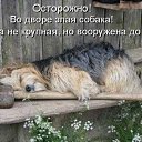 ���� ����, �����, 59 ��� - ��������� 17 ������ 2015 � ������ ������ ��������