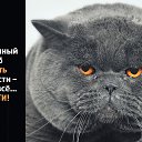���� ������, ������, 67 ��� - ��������� 16 ������ 2015 � ������ ������ ��������
