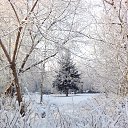 ���� Valka, ������, 63 ���� - ��������� 30 ������ 2015 � ������ ���� ����������