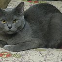 ������. �������-������. 1 ���. �� ������� ���� ����������