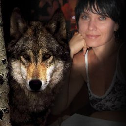 ���� ��������, ������-��-���� - ��������� 4 ������ 2015