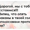 ���� �������, �����-��������� - ��������� 4 ������ 2015 � ������ ������ ��������