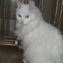 ���� �������, ������, 58 ��� - ��������� 11 ������ 2015 � ������ ���� ����������