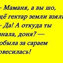 ���� �������, ������, 74 ���� - ��������� 11 ������ 2015 � ������ ������ ��������