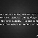 ���� �����, ������, 55 ��� - ��������� 2 ������ 2015 � ������ ������ ��������