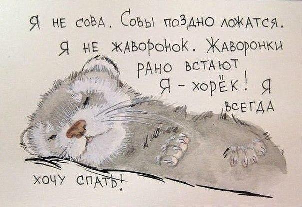   - 7  2015  19:30