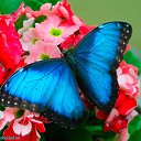 ���� ������, ���� - ��������� 10 ������ 2015 � ������ ������ ��������