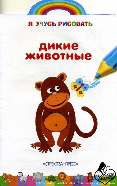 ������! ������ ��������