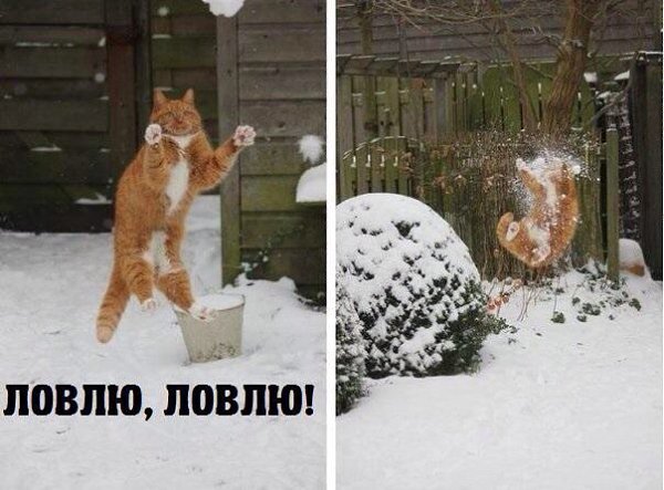 Приглашаю в группу,где море позитива: fotostrana.ru/prikolyzikfun/