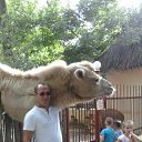 ���� ��������, ��������, 48 ��� - ��������� 31 ����� 2015 � ������ ���� ����������