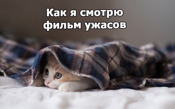   - 23  2015  20:12