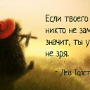 ���� Ivan, ���� - ��������� 3 ������� 2015