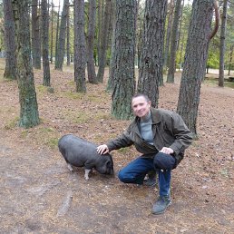 ������, �����������, 62 ����