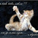 ���� ����, ������ ��������, 64 ���� - ��������� 16 ����� 2015 � ������ �������� ��������