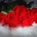 ���� �����!!������� ������, ������������ - ��������� 25 ������� 2015 � ������ �������� � ��� ������