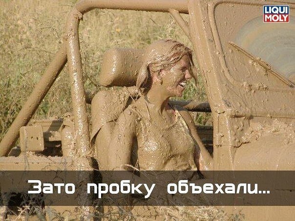   .........................
