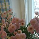 ���� �������, ������, 63 ���� - ��������� 19 ����� 2015 � ������ ���� ����������