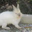 ���� ����, ������, 40 ��� - ��������� 8 ������ 2015 � ������ ���� ����������