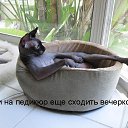     !!!  ........ )))   1