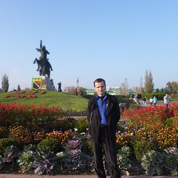 �����, ���������