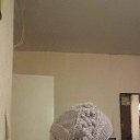 ���� ���������, ������, 44 ���� - ��������� 22 ������� 2015 � ������ ���� �������