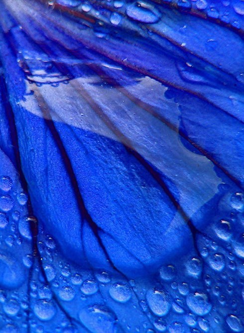 ����� ��� � ������, ��� �� ������ ������������� ���������. � ���� ���� - 4