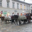 ���� �����, �����-��������� - ��������� 19 ������ 2015 � ������ ������� �������� � ������ (������ 2015)�