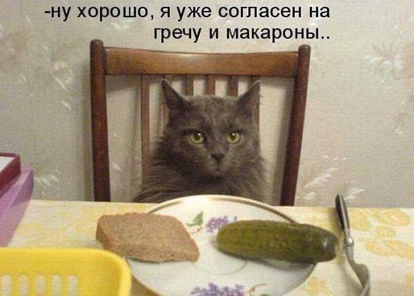Подпишитесь, если понравилось!!! fotostrana.ru/public/237440/?