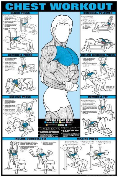 Workout & muscle.  !