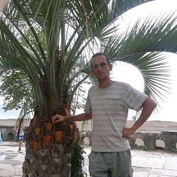 ���������, �������, 50 ���