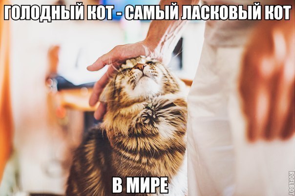     - 9  2015  04:40