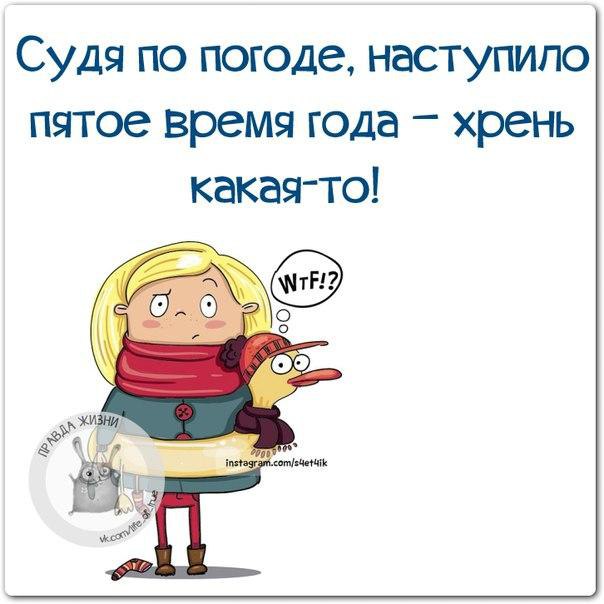 ������ ����� - 8 ������� 2015 � 10:16