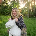 ���� �������, �����, 51 ��� - ��������� 22 ������ 2015 � ������ ���� ����������