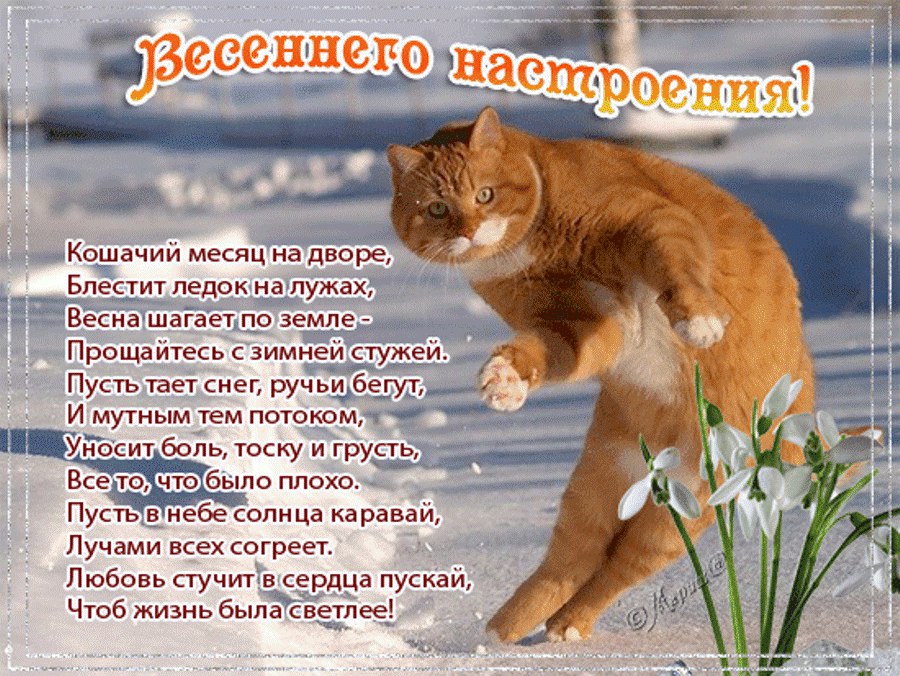  - 1  2015  13:55