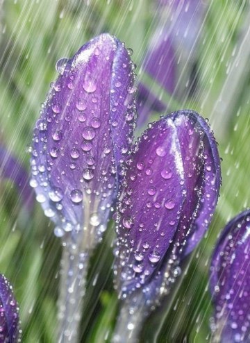  ,     ,    .   - ,    ...