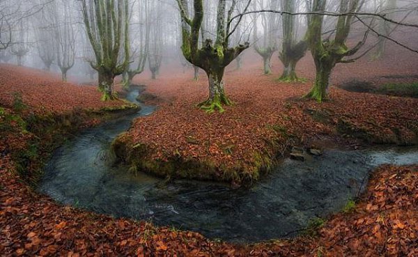    (Gorbea Natural Park)     ().    ... - 2