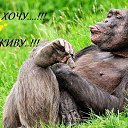  , - -  23  2015    ʻ