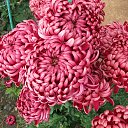 ���� ������. �� �����., ���� - ��������� 31 ������ 2015 � ������ ������ ��������