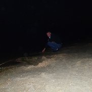 ����, , �������