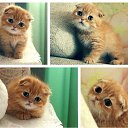 ���� Egor, ������, 38 ��� - ��������� 20 ����� 2015 � ������ ������ ��������