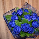 ���� ������, ������, 45 ��� - ��������� 9 ����� 2015 � ������ ���� ����������