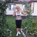 ���� �����, ��������� - ��������� 9 ����� 2015 � ������ ���� ����������