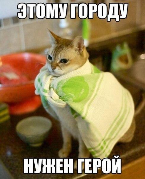    :-) - 20  2015  19:05