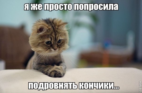       - 19  2014  08:33