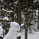 ���� Svann, ���������, 71 ��� - ��������� 19 ������ 2015 � ������ ������ �������!�