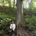 ���� �����, �����������, 70 ��� - ��������� 15 ������� 2014 � ������ ���� ����������