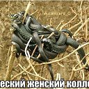 ���� �������, �����, 53 ���� - ��������� 19 ������ 2015 � ������ ������ ��������