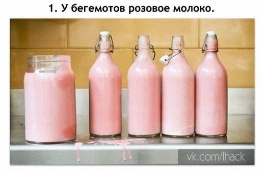 10 ������, ������� ������ ��� ����, �� �������� �������: