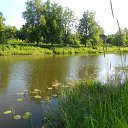 ���� �����, ������, 51 ��� - ��������� 5 ����� 2015 � ������ ���� ����������