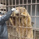 ���� �������, �����, 75 ��� - ��������� 21 ������ 2015 � ������ ���� ����������